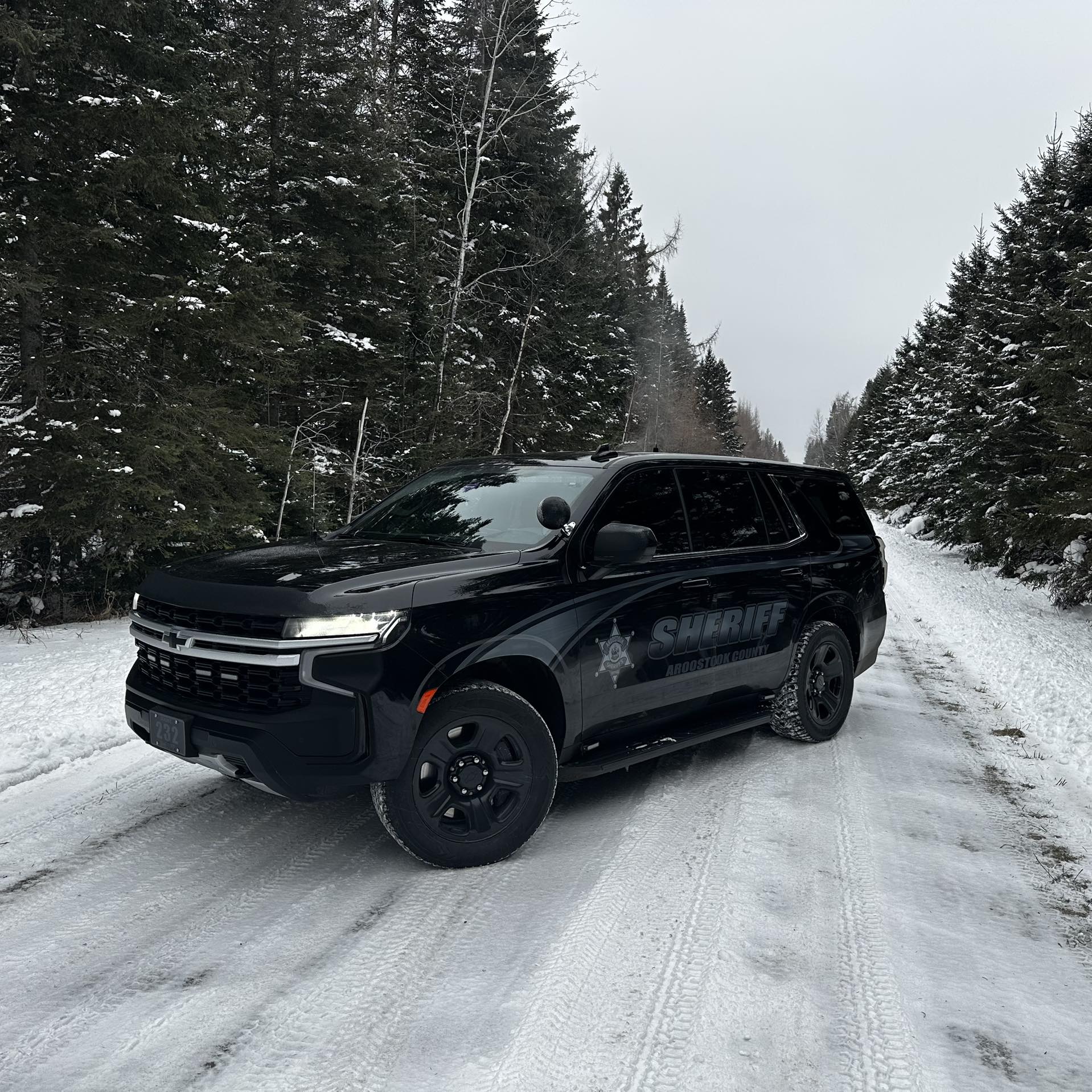 Deputy and K-9 Injured, Suspect Dead After Aroostook County Standoff