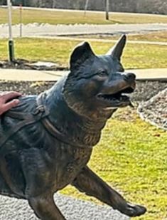 Bill in Legislature Would Make Seppala Siberian Maine State Dog