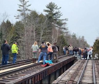 Horse Rescued From Railroad Bridge in Alton