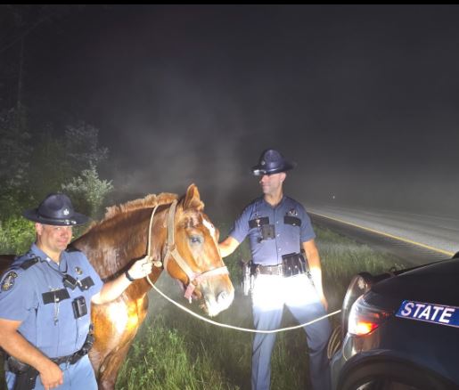 Police Safely Corral Horse Running on I-95 Near Burnham