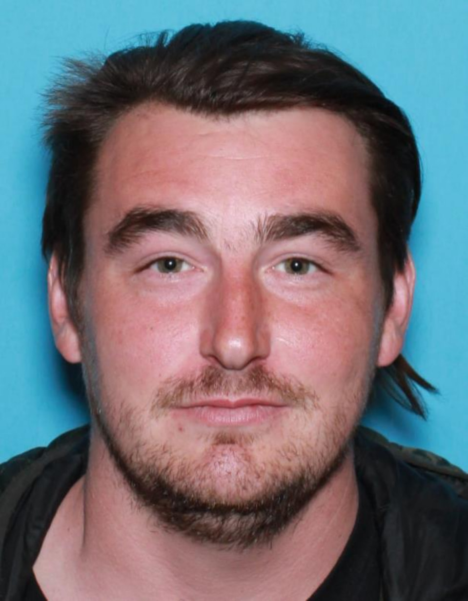 Police Ask for Public Help to Locate Missing Windsor Man