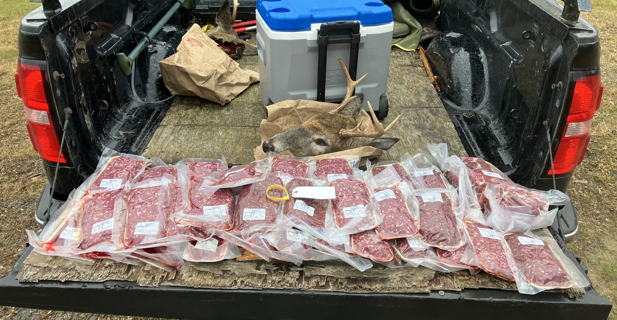 Maine Man Faces 23 Charges for Illegal Hunting, Theft