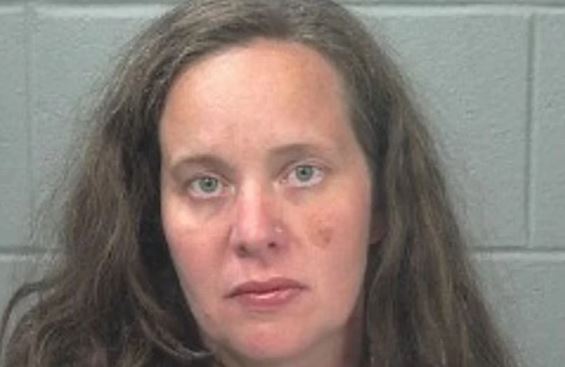 Pennsylvania woman charged with manslaughter after toddler found dead in car north of Bangor