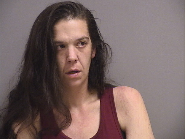 Somerset County Man, Woman Accused of Drug Trafficking