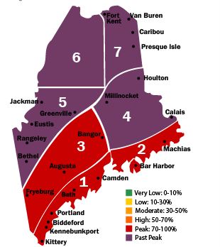 Final Maine Fall Foliage Report Released