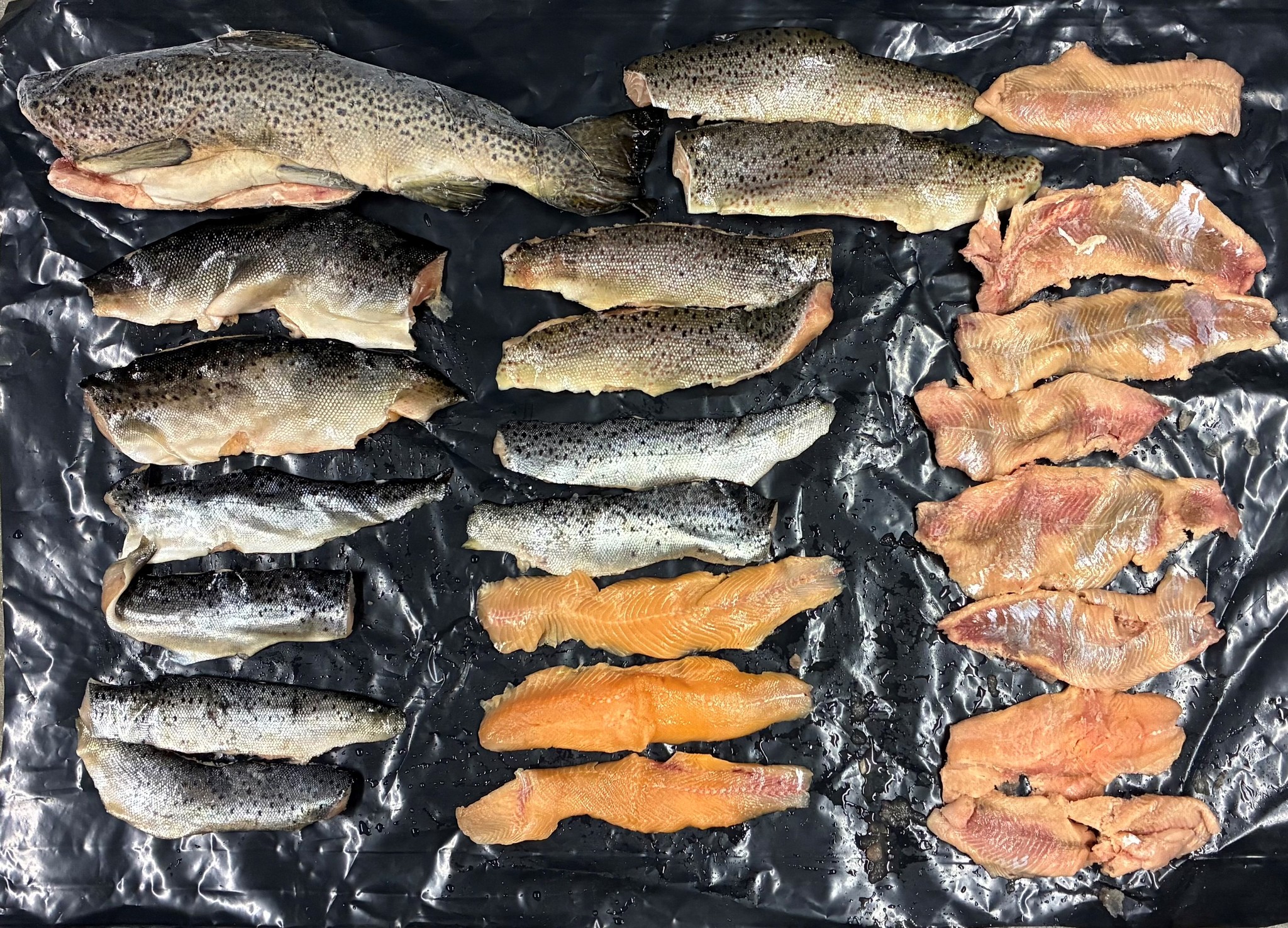 Game Wardens Cite Anglers for Illegally ‘Snagging’ Salmon in Western Maine Game Wardens Cite Anglers for Illegally ‘Snagging’ Salmon in Western Maine