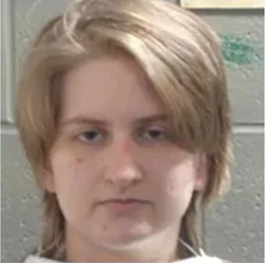 Mainer accused of driving vehicle at Border Patrol agent enters guilty plea