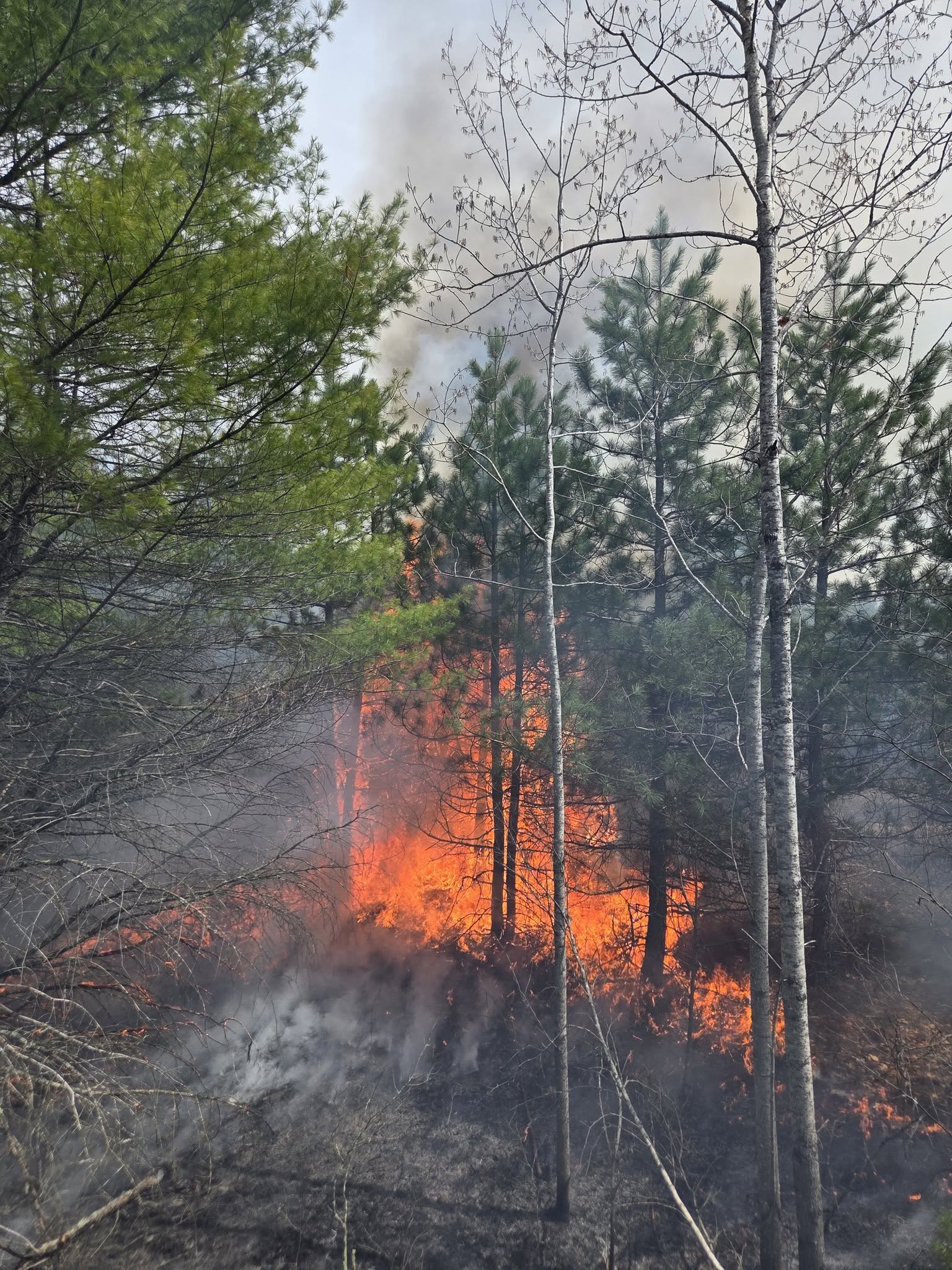 Brush Fire Burns Nearly an Acre in New Gloucester