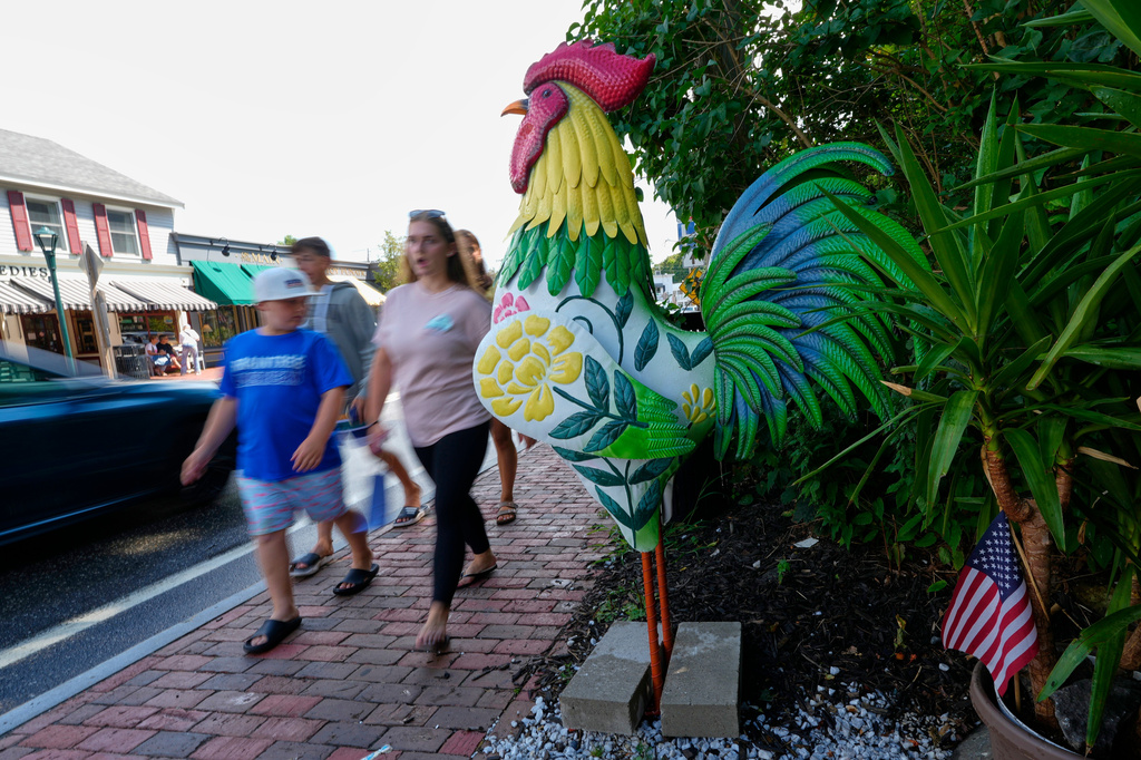 Giant Metal Roosters Spread Autism Acceptance in Ogunquit After Town Zoning Spat