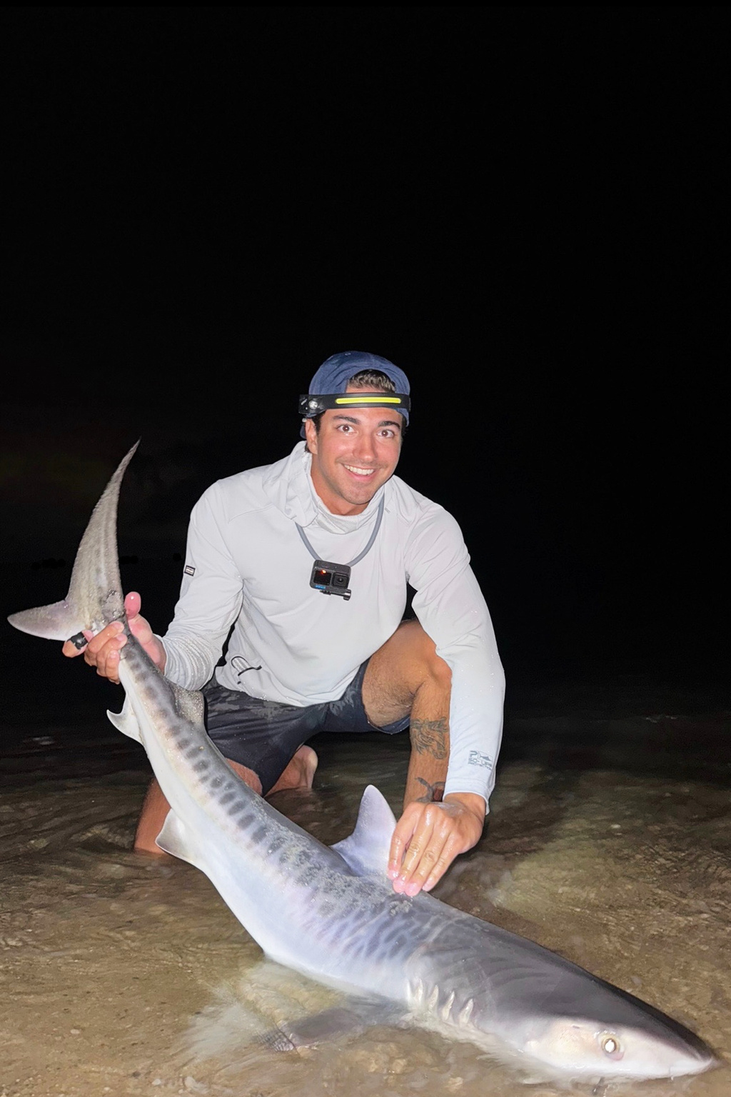 Tiger shark caught off Massachusetts could be sign of warming waters Tiger shark caught off Massachusetts could be sign of warming waters