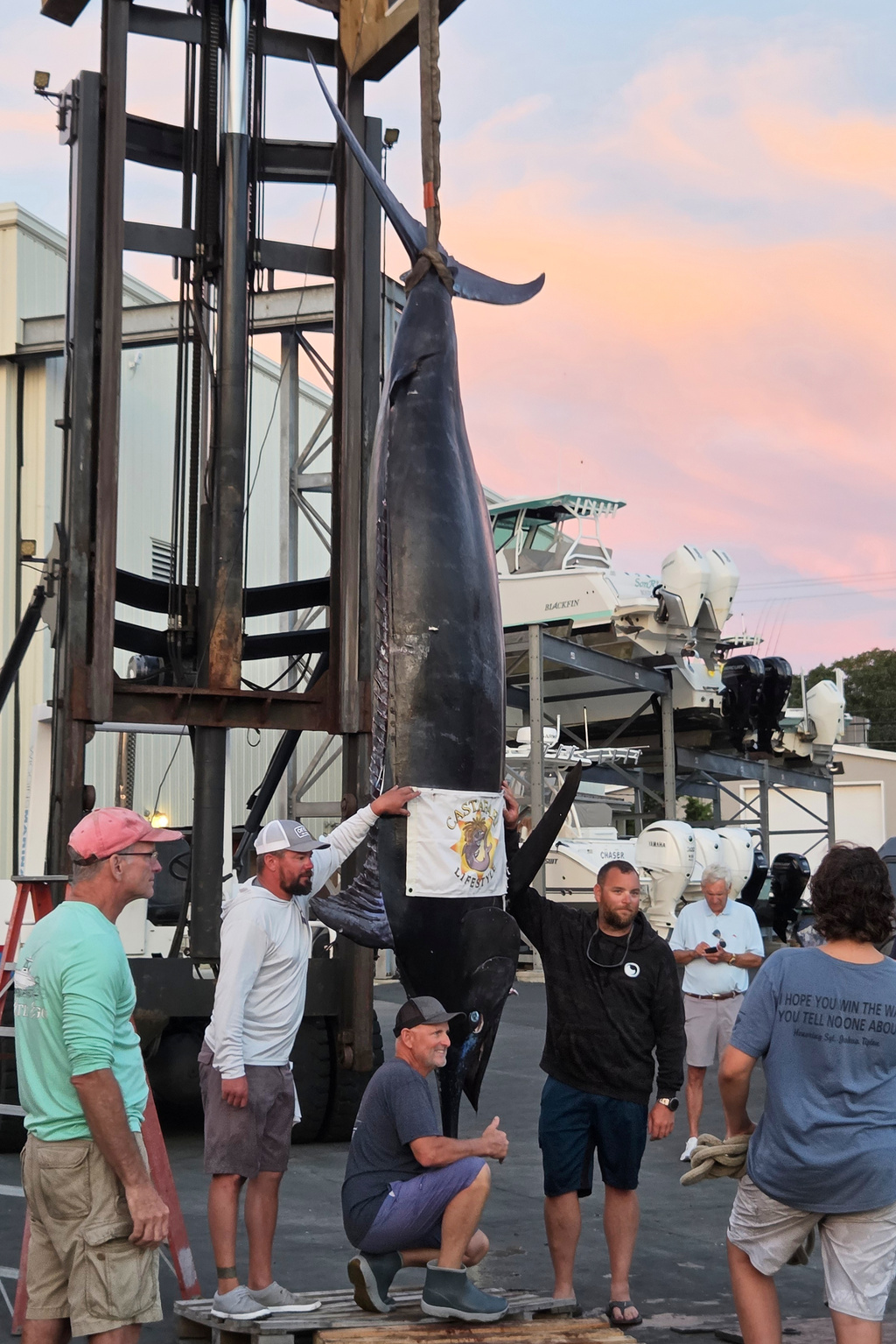 1,260-Pound Blue Marlin Could Set East Coast Record