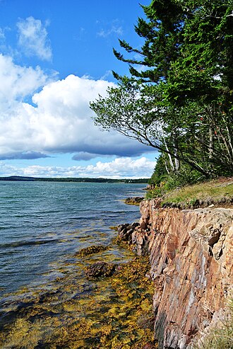 Three People Were Found Dead in a Submerged Vehicle in a Cove in Northern Maine